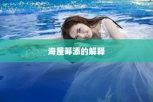 海屋筹添的解释