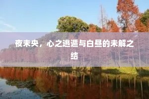 夜未央，心之逃遁与白昼的未解之结