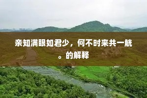 梅妻鹤子的成语解释