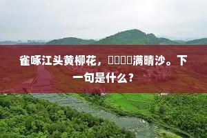信步苍苔绕遍，真堪付、闲客闲行。的意思及出处