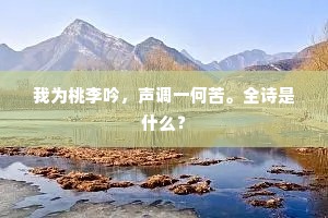 美芹之献的释义