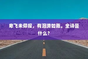 折向冰壶，莫教纱帽，醉里轻簪却。的解释