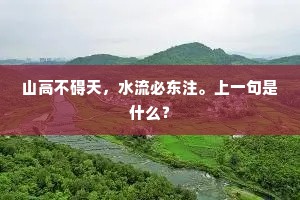 闷闷不乐的解释
