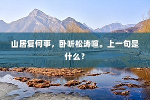 念壮岁心情，平生志气，可笑徒劳。全诗是什么？
