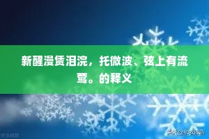 红叶题诗，紫云传恨，密意渠能诉。全诗是什么？