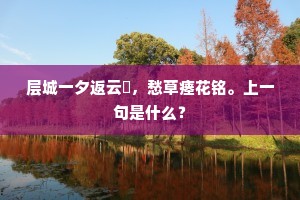 梦里南轲的释义