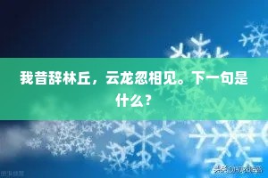 梦中说梦的释义