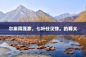 弥留之际的成语解释