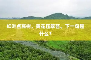 自怪情怀，近日顿懒，忆刘郎前度。全诗是什么？