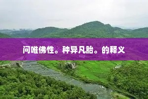 红尘闹处便休休，不是个中无皂白。的释义
