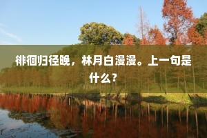 浪阔鱼沈，云高雁阻，瞪目添愁抱。的释义