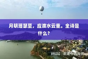 年年眉寿登高后，醉帽常留菊满簪。的解释