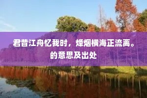闹装鞍辔青骢马，帖体衣裳紫窄衫。的释义