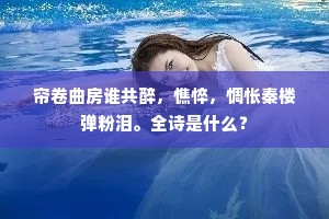 竹外横枝，并阑干、试数风才一信。出自哪首诗？