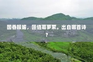 何人解舞新声曲，一试纤腰六尺围。出自哪首诗？