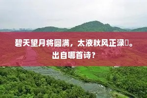青丝结带鸳鸯盏，岁华晚、又相逢。的释义