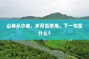 贺监风流，玄真清致，我亦情非浅。全诗是什么？