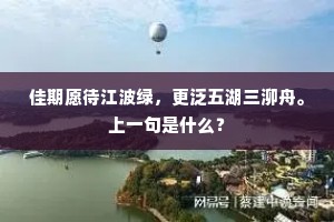 新来著意与兜笼，身心苦役伊知否。上一句是什么？
