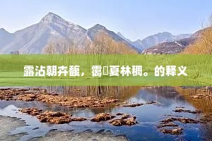 似恁疏狂，费人拘管，争似不风流。的解释