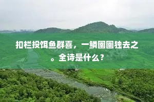 天下事，不如意十常八九，无奈何。的意思及出处