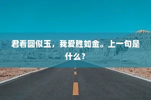 手捻黄花，对西风无语，双鬓萧萧。的解释