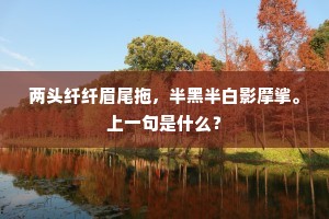 想流红有恨，拾翠无心，往事凄凉。下一句是什么？