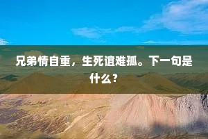 笙歌十里岩前去，灯火千门月下归。的释义