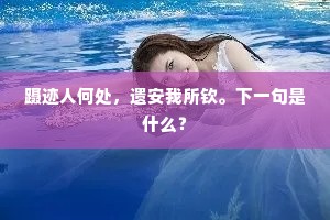 不堪野老关门醉，想见山翁倒载时。的释义