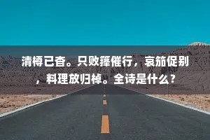 一般妙质，笑乐天、夸诧小蛮樊素。上一句是什么？