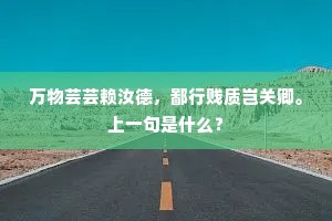 声传漏阁偏长，更奈向、潇潇乱雨。全诗是什么？