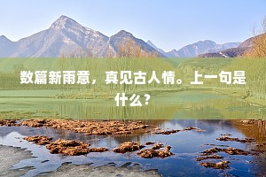 绵力薄材的成语解释