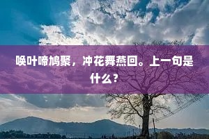 梦随蝶去恨墙高，醉听莺语嫌笼小。上一句是什么？