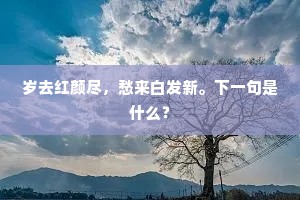 面面相看的解释