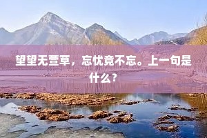 当此际，醉魂游帝所，凉袂扬秋风。的意思及出处