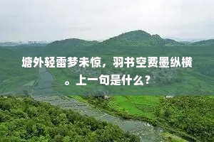 二翁元是一溪云，暂为山北山南雨。上一句是什么？