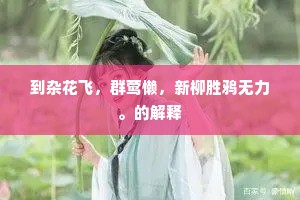 圆缺晴阴，古今同恨，我更长为客。的释义