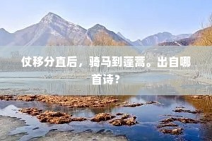 世道方占公出处，裔夷争问今年貌。的意思及出处