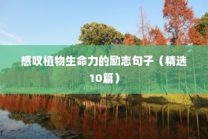 早上励志的句子（通用10篇）