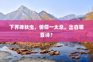 向自题名雁塔，不十载、德播河阳。的释义