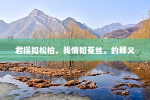 强健老人松下鹤，森荣孙子霜中竹。下一句是什么？
