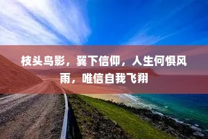 枝头鸟影，翼下信仰，人生何惧风雨，唯信自我飞翔