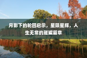 月影下的轮回启示，星陨星辉，人生无常的璀璨篇章
