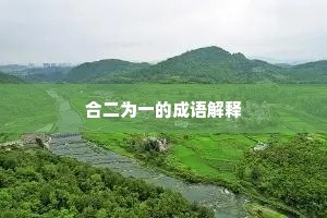 合二为一的成语解释