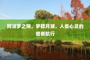 阿波罗之殇，梦碎月球，人类心灵的暗夜航行