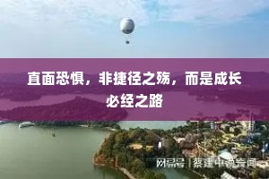 直面恐惧，非捷径之殇，而是成长必经之路