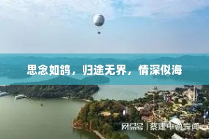 思念如鸽，归途无界，情深似海