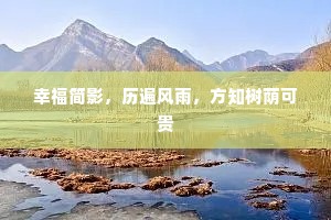 幸福简影，历遍风雨，方知树荫可贵