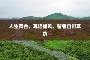 人生舞台，耳语如风，智者自辨真伪