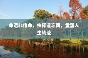 命运非宿命，抉择遗忘间，重塑人生轨迹