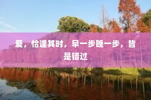 爱，恰逢其时，早一步晚一步，皆是错过